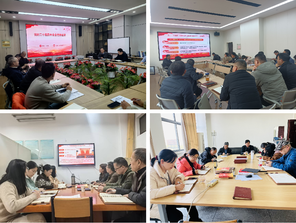 微扑克下载
宣讲党的二十届四中全会精神